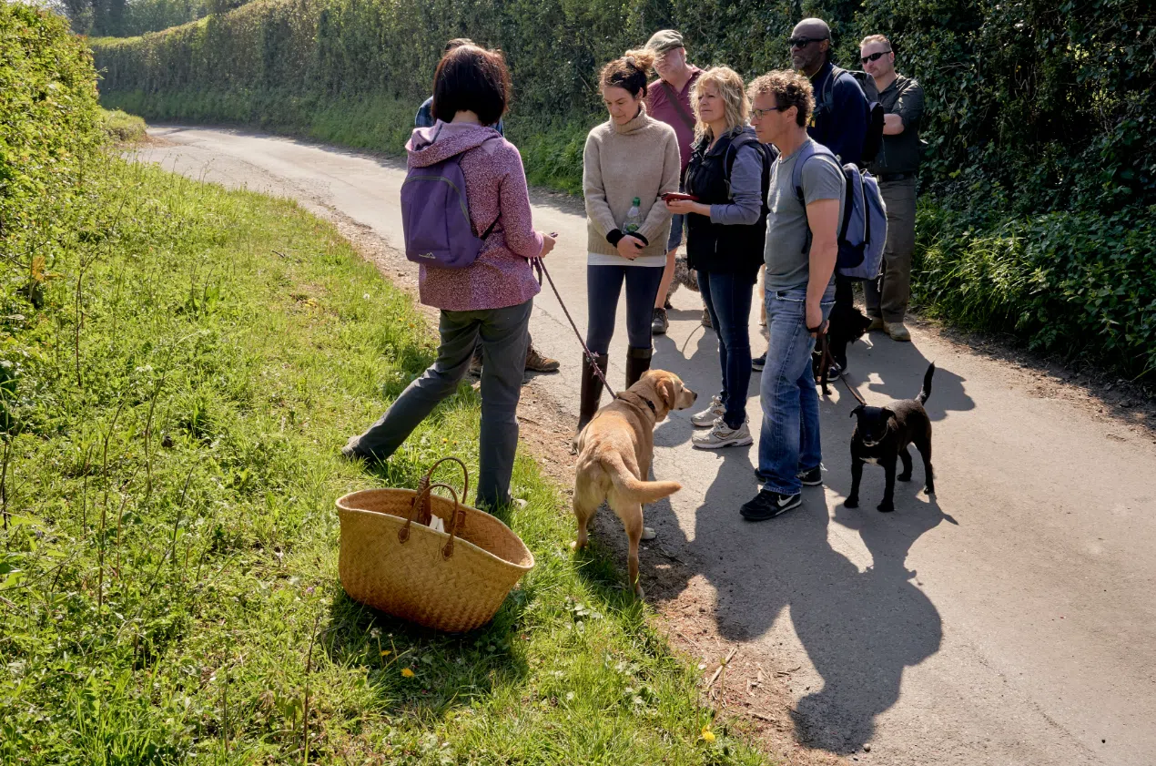 Foraging Course in Kent, photo 4