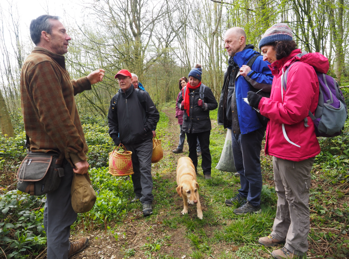 Foraging Course in Kent, photo 2
