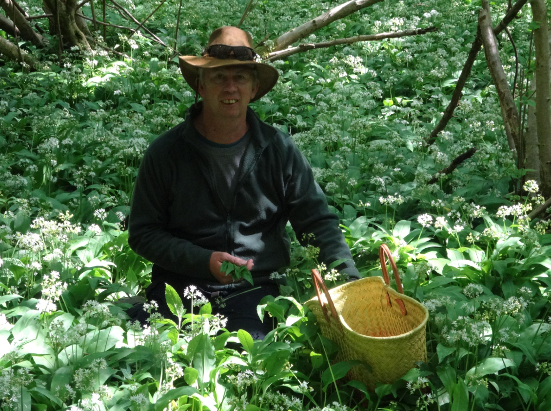 Foraging Course in Kent gallery 8