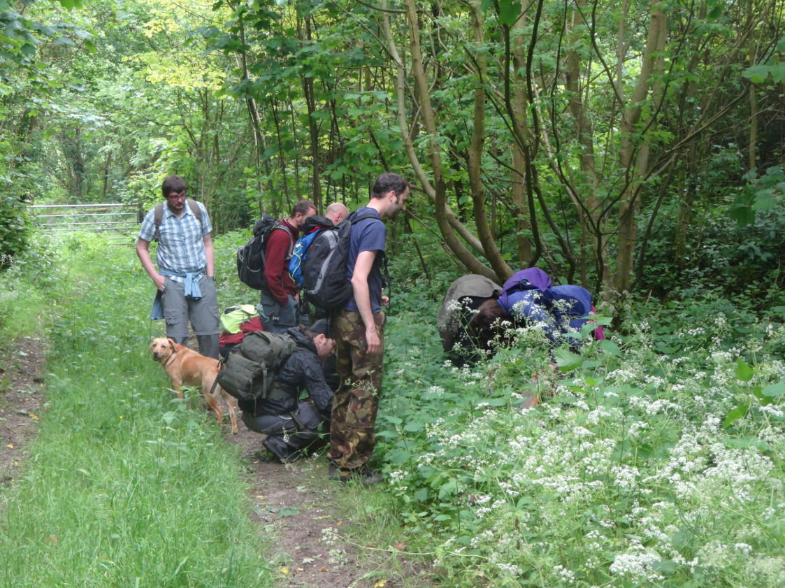 Foraging Course in Kent, photo 5