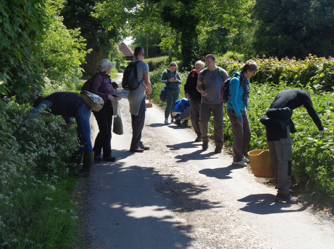 Foraging Course in Kent gallery 2