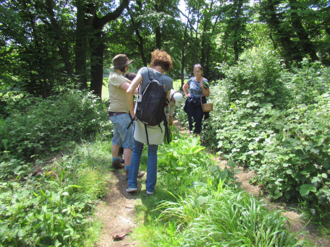 Foraging Course in Kent gallery 4