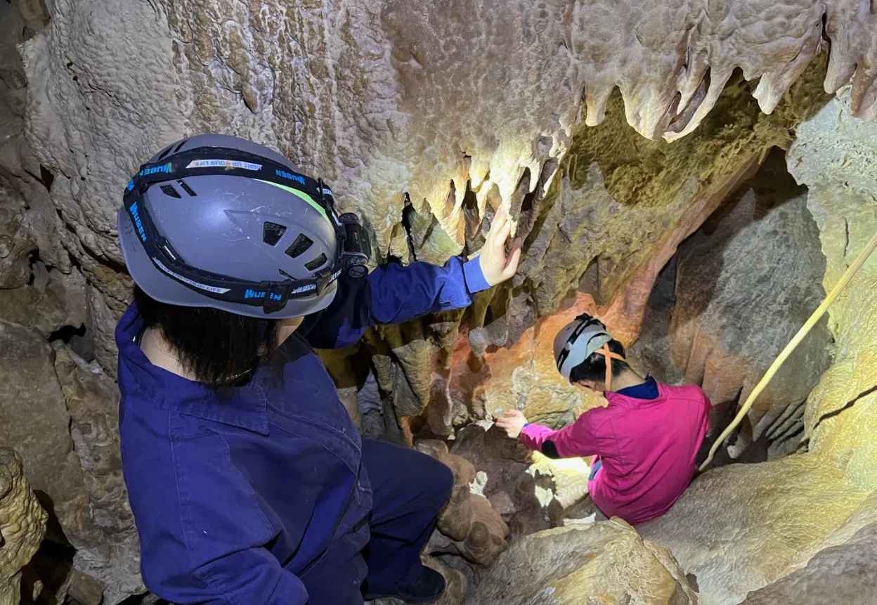 Caving Adventure in Marble Cave, Calvia, Mallorca, listing photo
