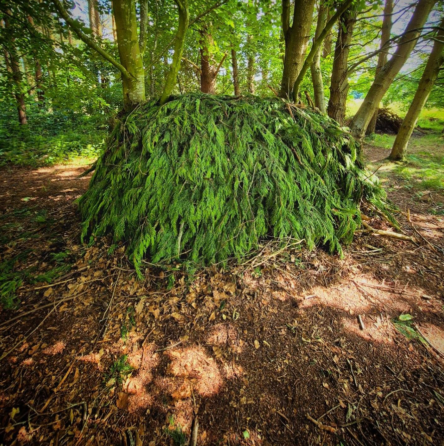 ‘Thrive Outdoors’ Full Day Bushcraft Course – Vogrie Country Park, Near Edinburgh gallery 4