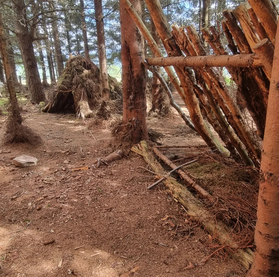 'Let's Go Wild' Bushcraft Day Experience – Vogrie Country Park, Near Edinburgh gallery 5