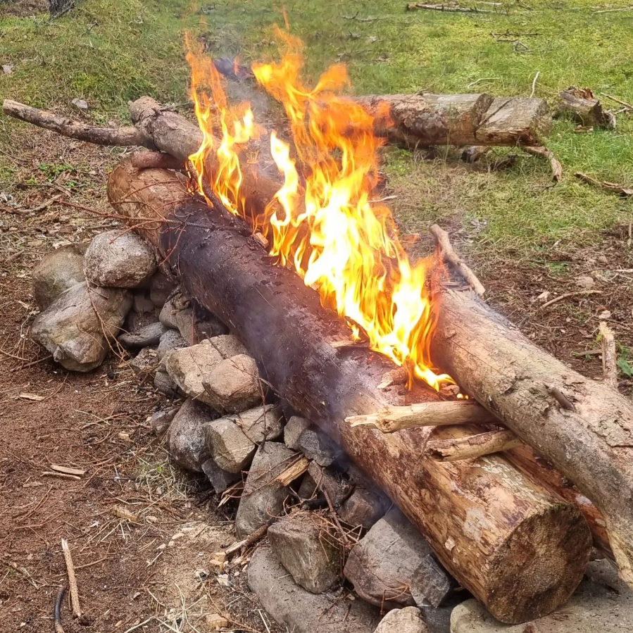 'Let's Go Wild' Bushcraft Day Experience – Vogrie Country Park, Near Edinburgh gallery 7