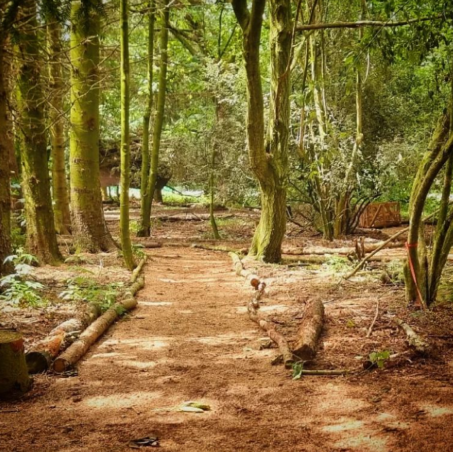'Let's Go Wild' Bushcraft Day Experience – Vogrie Country Park, Near Edinburgh gallery 8