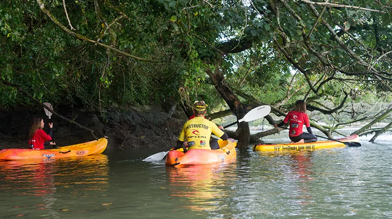 Private Estuary Kayak Tour in Newquay, photo 3