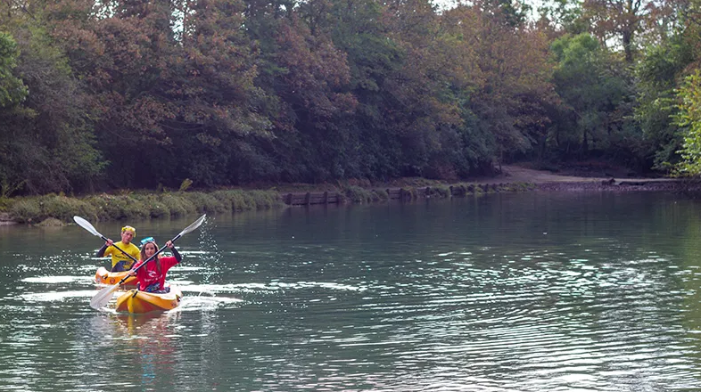 Private Estuary Kayak Tour in Newquay, photo 4