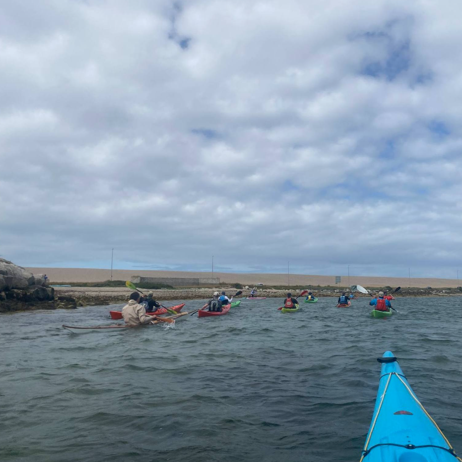 Guided Sea Kayak Trip (Full Day), photo 3