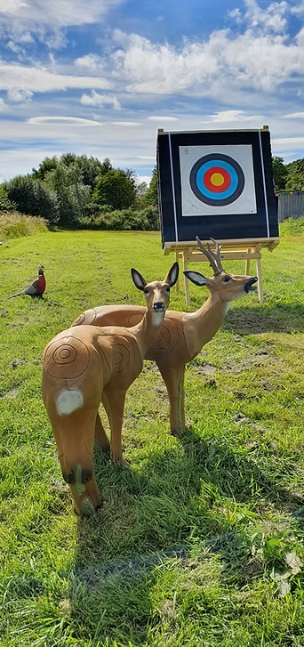 Draw and Dram Archery and Whisky Tasting in Dornoch gallery 4