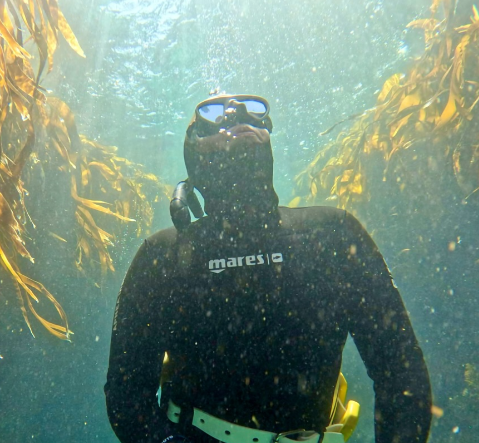 SSI Basic Freediving Course, listing photo