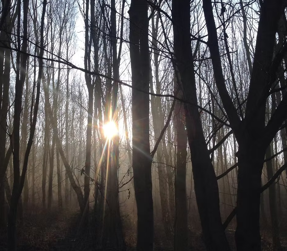 Private One-to-One Survival Courses in Croydon, London gallery 6