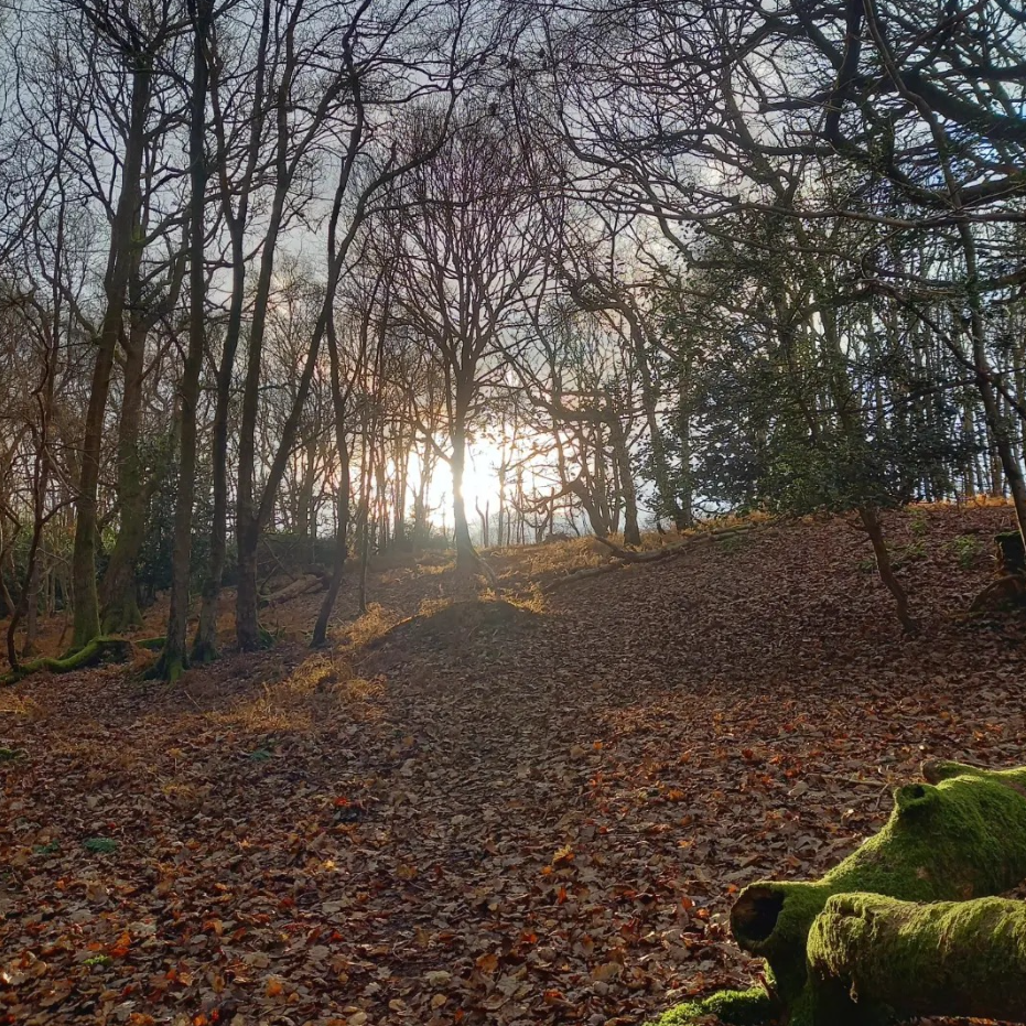 Private One-to-One Survival Courses in Croydon, London gallery 7