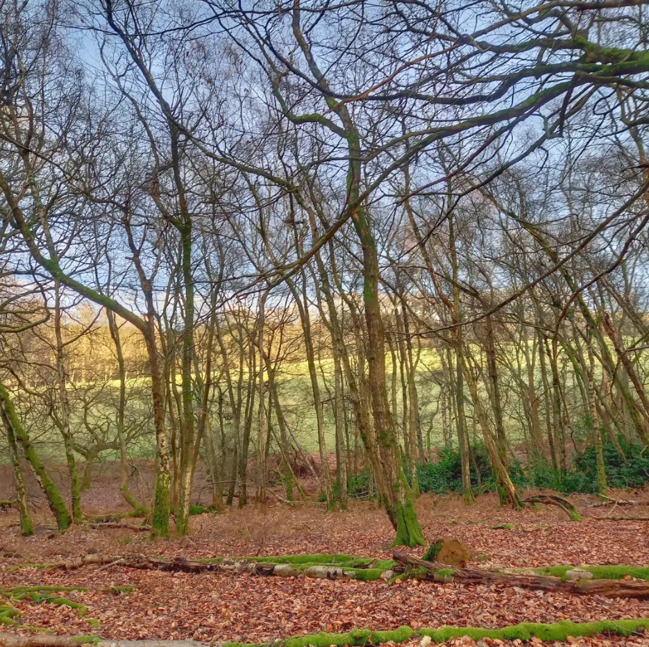 Private One-to-One Survival Courses in Croydon, London gallery 8