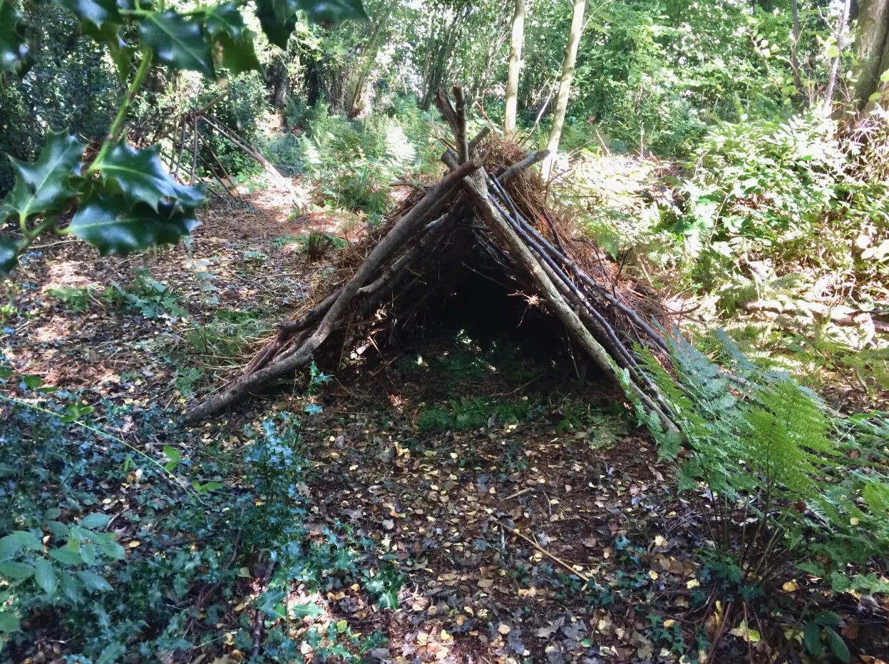 Weekend Bushcraft Course in South London gallery 10