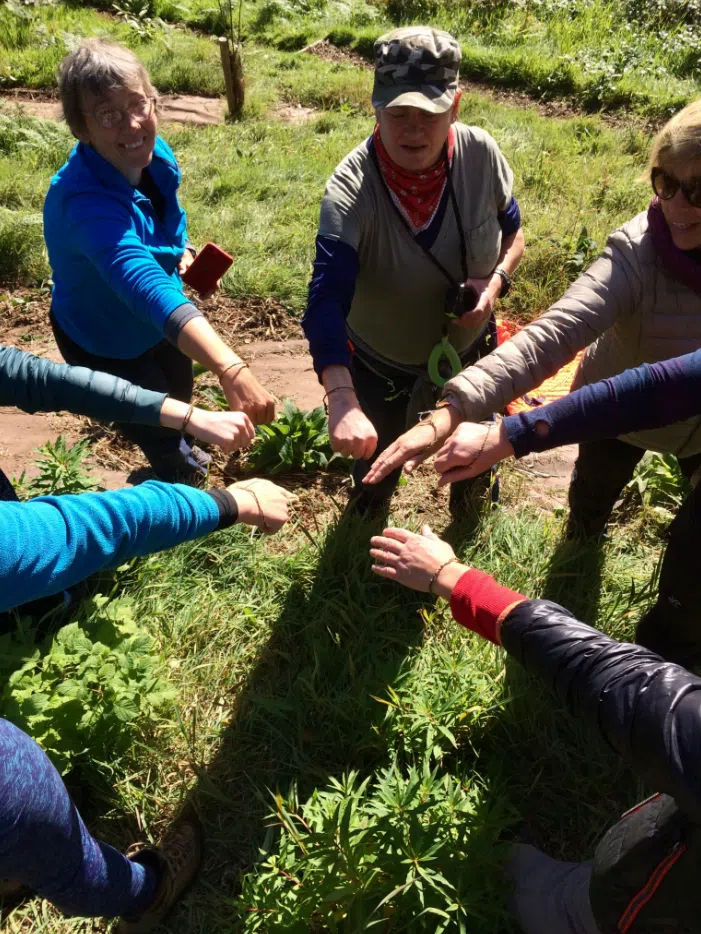 Weekend Bushcraft Course in South London gallery 4