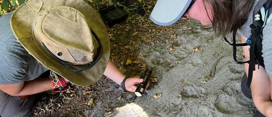 Track and Sign Bushcraft Course in South London gallery 3
