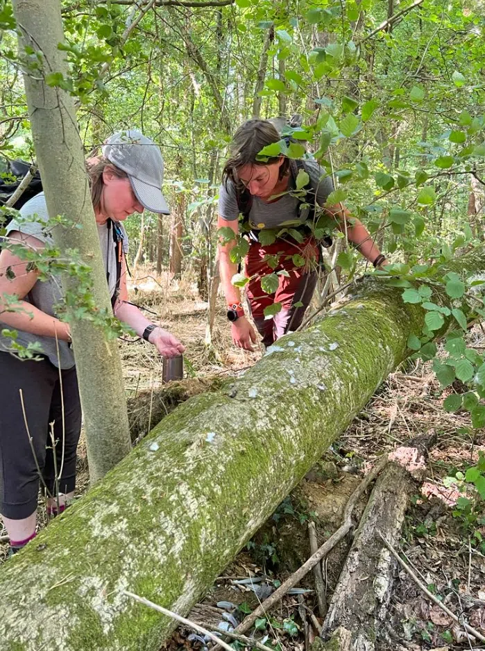 Track and Sign Bushcraft Course in South London, photo 5