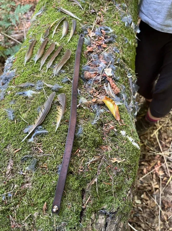 Track and Sign Bushcraft Course in South London gallery 2