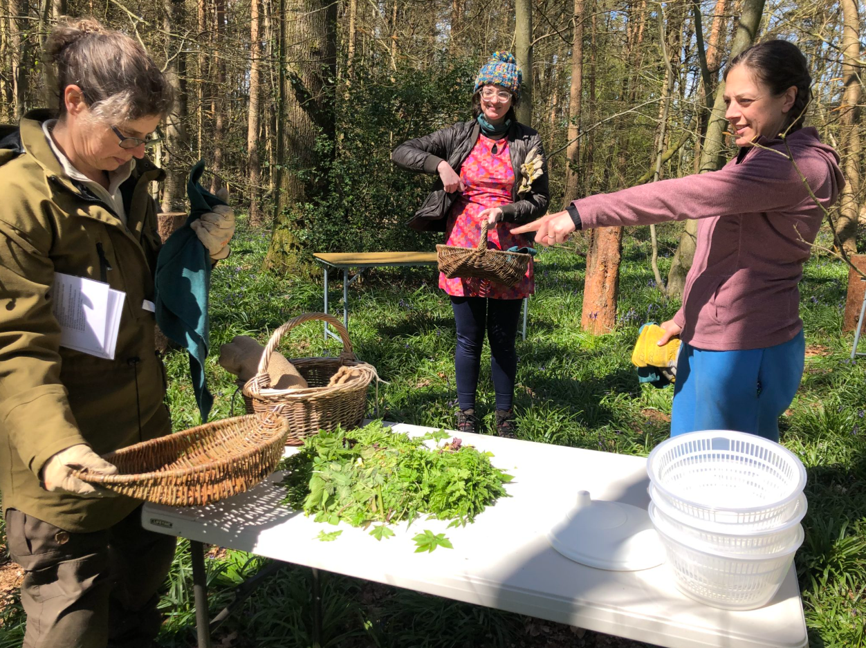 Spring Foraging Course in South London, photo 4