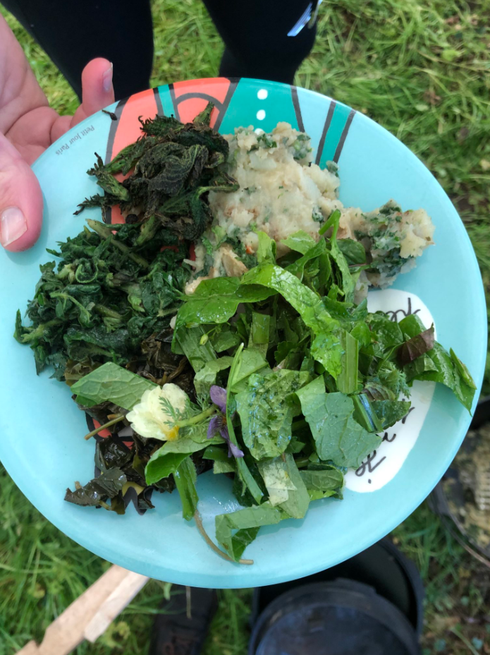 Spring Foraging Course in South London, photo 5