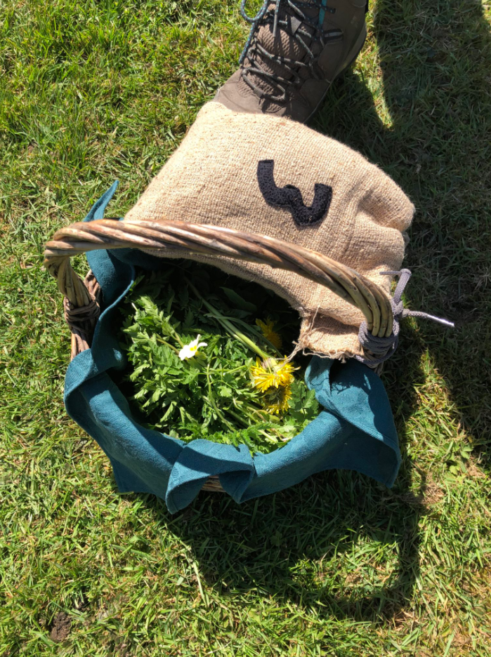 Spring Foraging Course in South London gallery 3