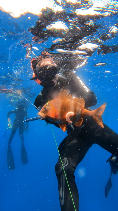 Spearfishing Session in Lanzarote, photo 4