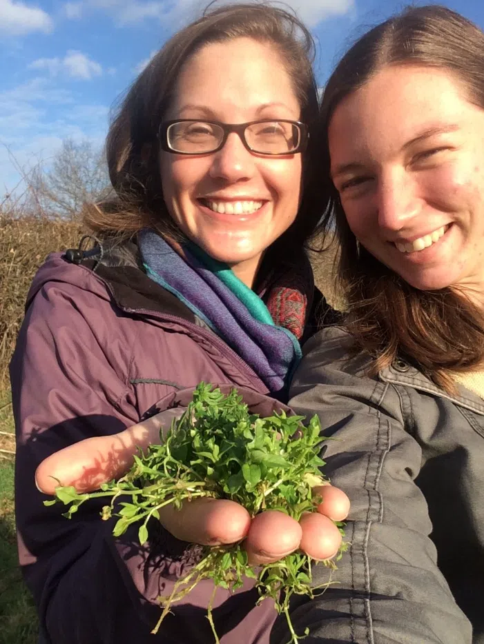 Late Spring Foraging Course in South London, photo 4