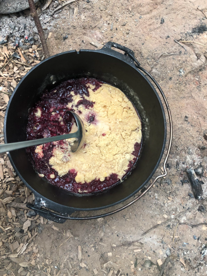 Autumn Foraging Course in South London, photo 4