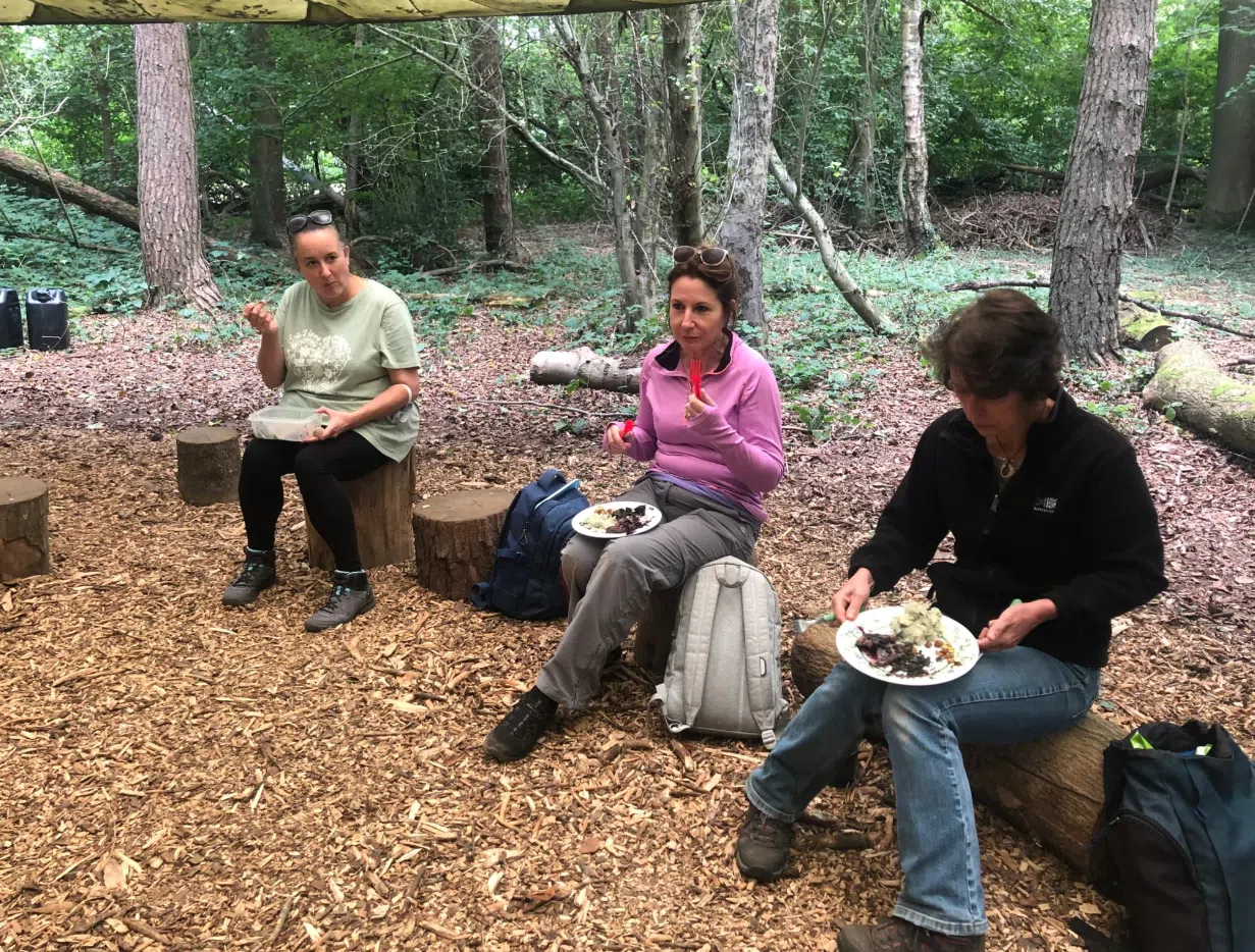 Autumn Foraging Course in South London, photo 2