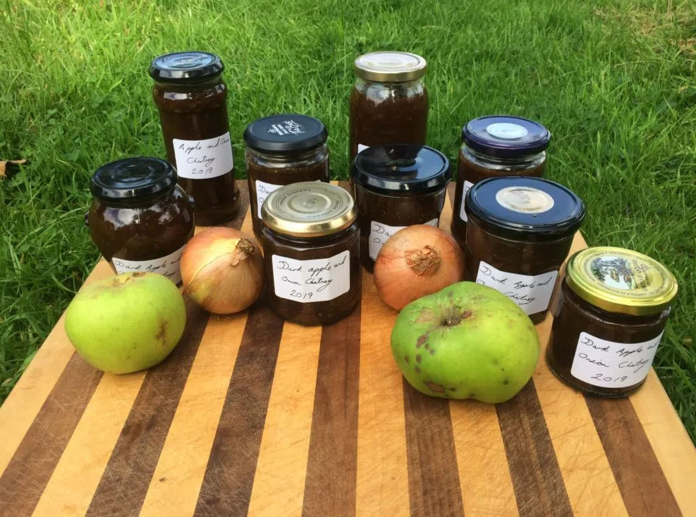 2-Day Autumn Foraging and Preserving Course in South London, photo 2