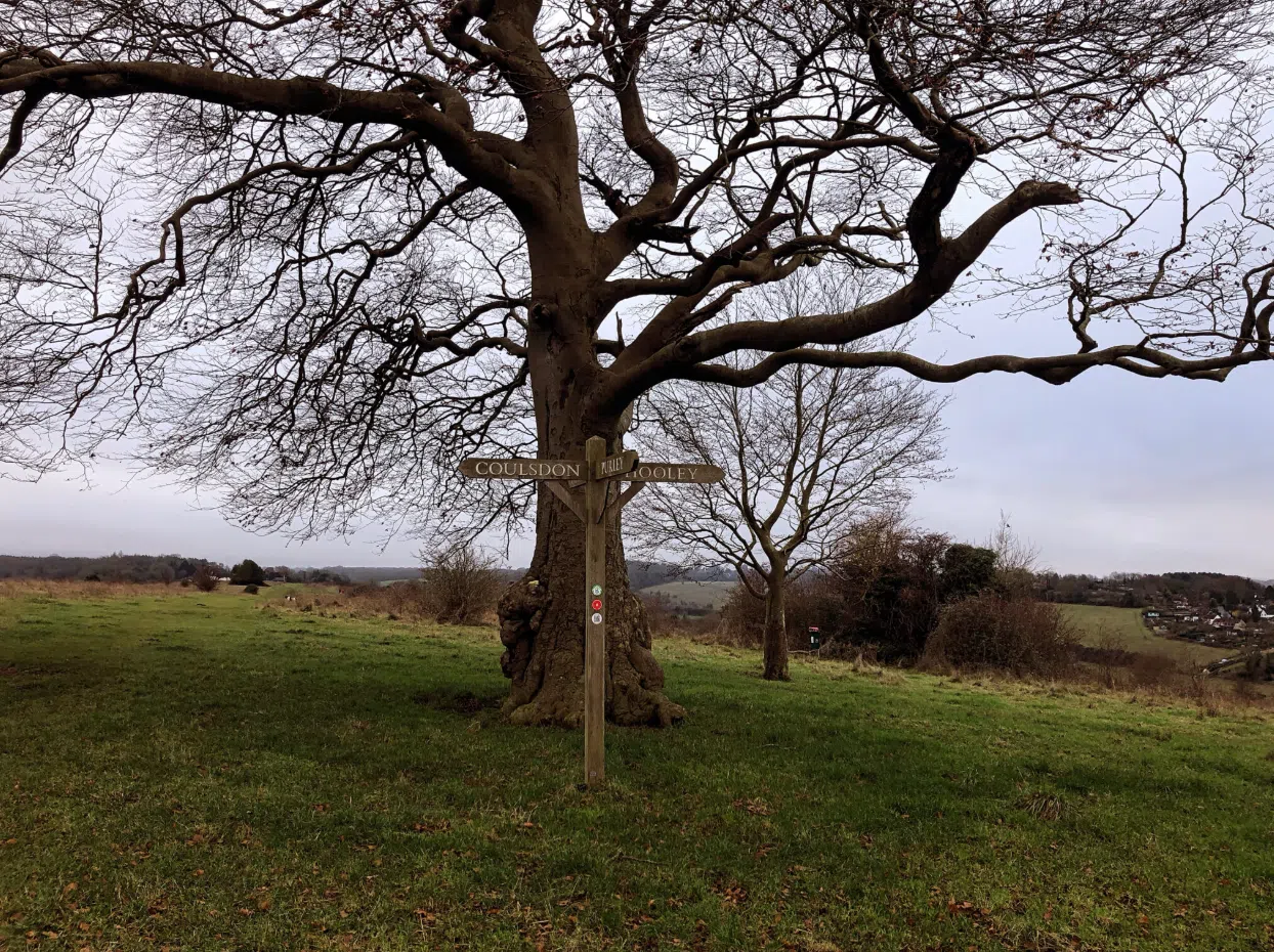 Hill Walking Navigation Course in South London, photo 2