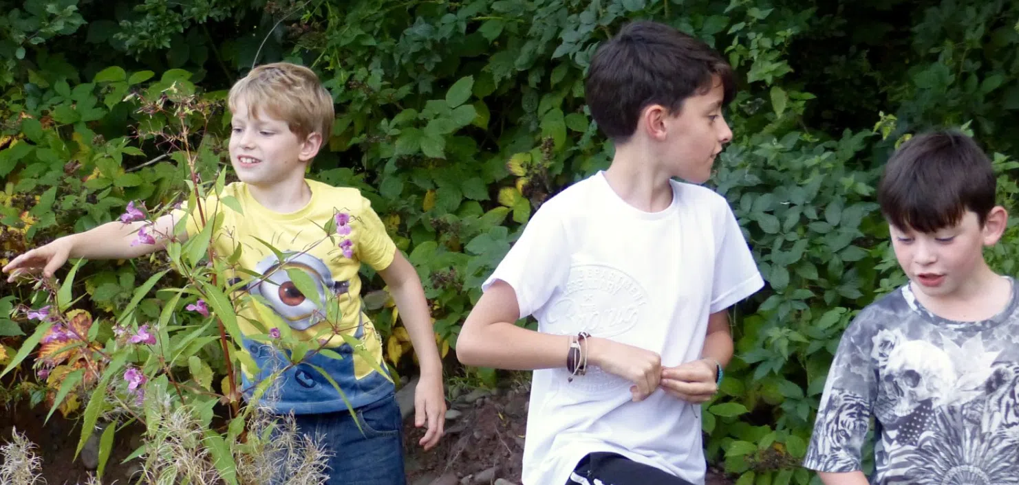 Children’s Woodland Adventure Birthday Package in South London, listing photo