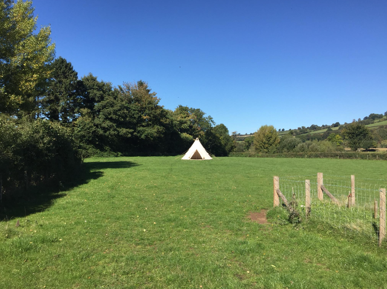 Children’s Woodland Adventure Birthday Package in South London, photo 4