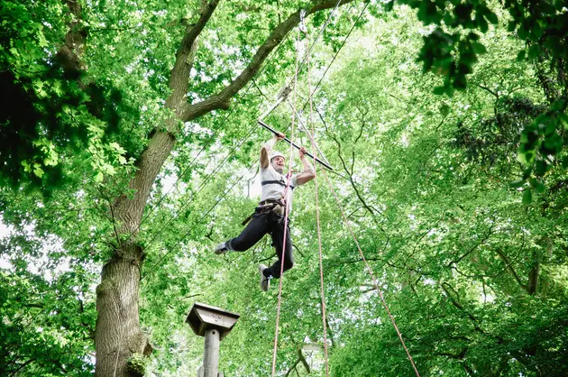 High & Low Ropes Adventure in Harrogate gallery 5