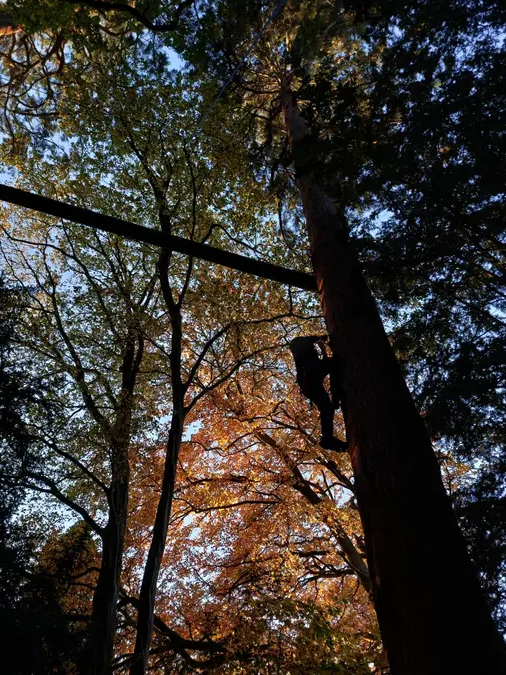 High & Low Ropes Adventure in Harrogate gallery 6