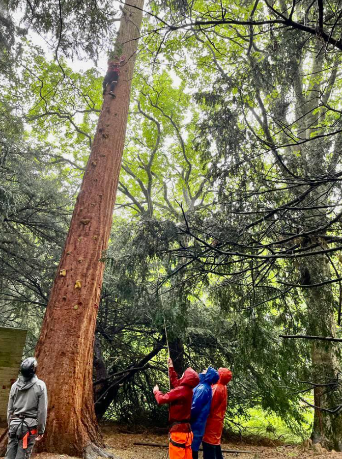 High & Low Ropes Adventure in Harrogate gallery 10