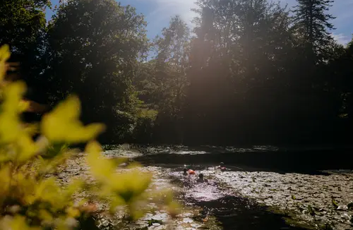 Wild Swimming in Masham, Ripon, photo 2