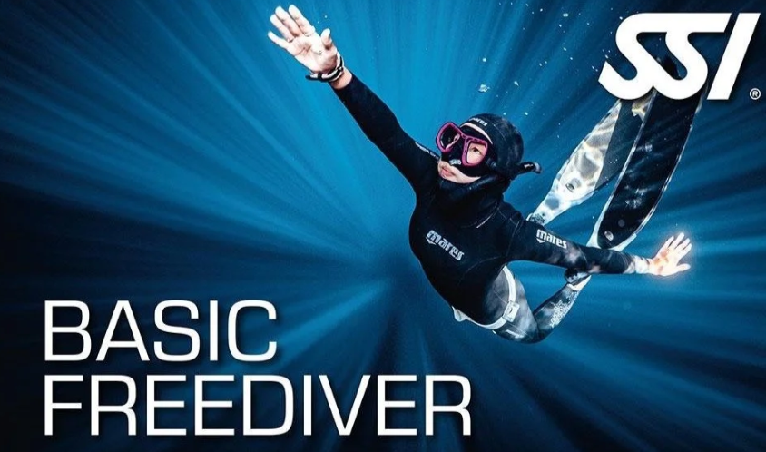 SSI Basic Freediver Course in Oswestry, listing photo