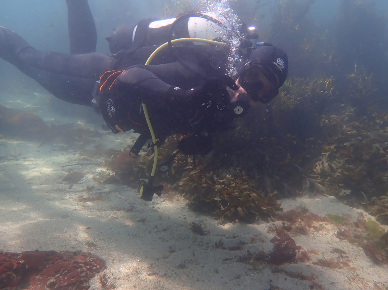 Scuba Diving FREe-Learning Courses, photo 4