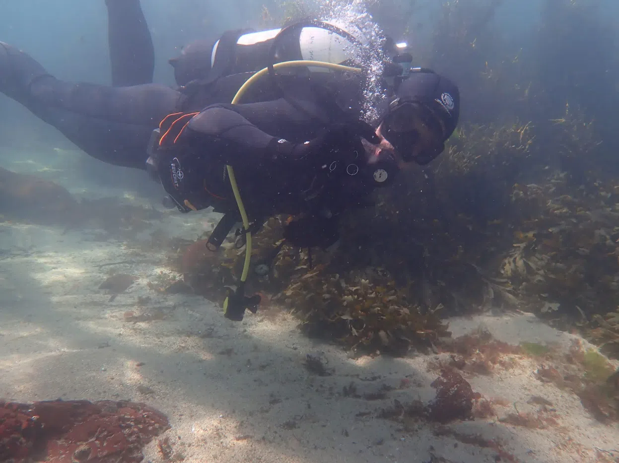 Open Water Scuba FREe-learning Course, photo 3