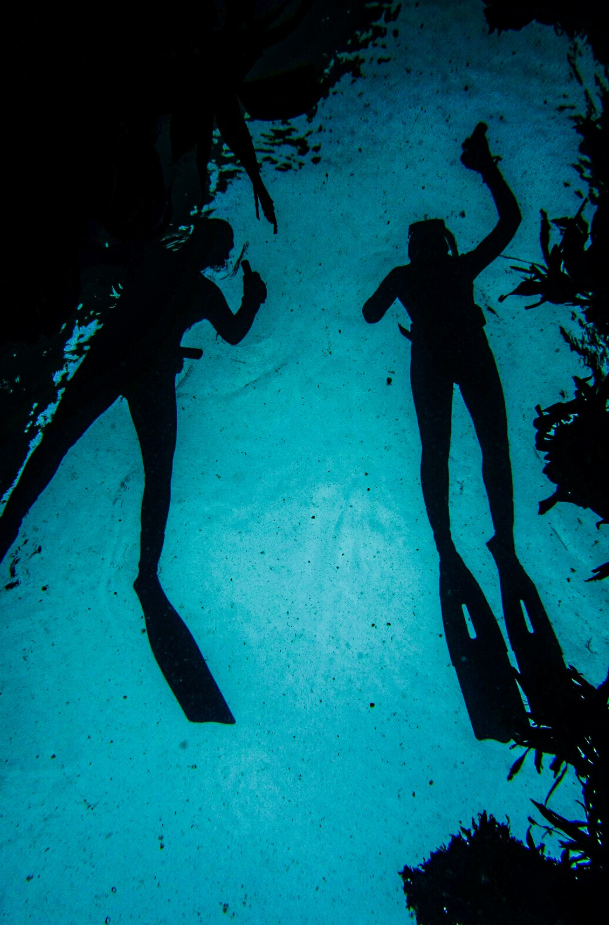 Freedive Exploration in Shetland, Scotland gallery 9