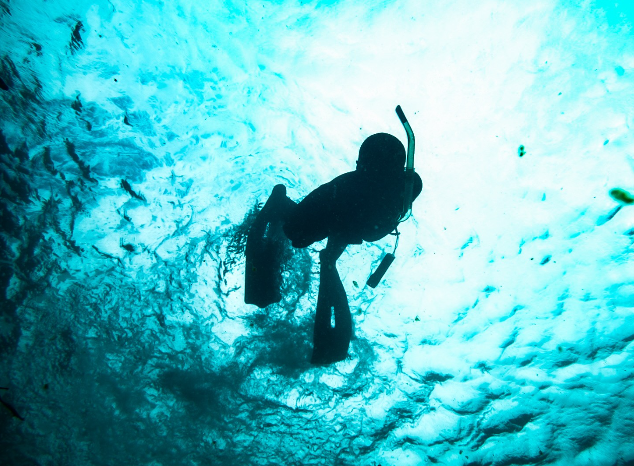 Freedive Exploration in Shetland, Scotland, photo 5