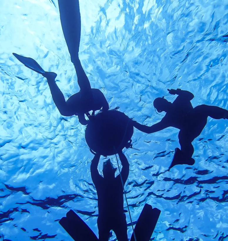 Snorkelling Adventure in Shetland, Scotland, photo 2