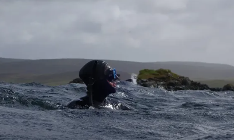 Snorkelling Adventure in Shetland, Scotland gallery 10