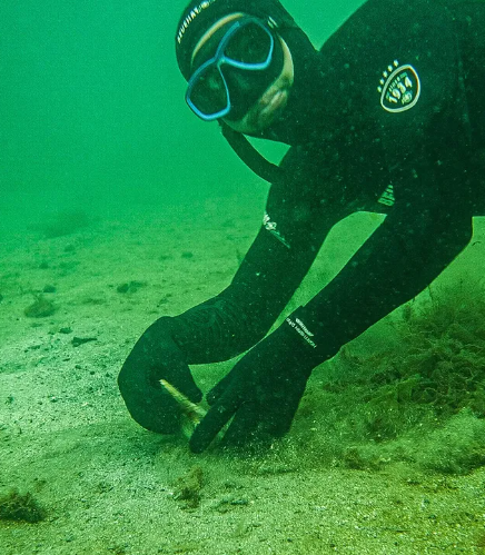 Diving Gear Rental in Shetland, Scotland gallery 5