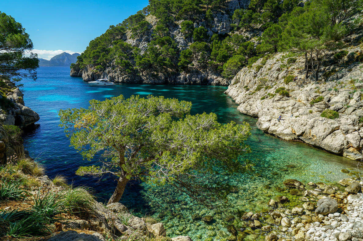 Sailing the Picard in Port de Pollenca, Mallorca gallery 10