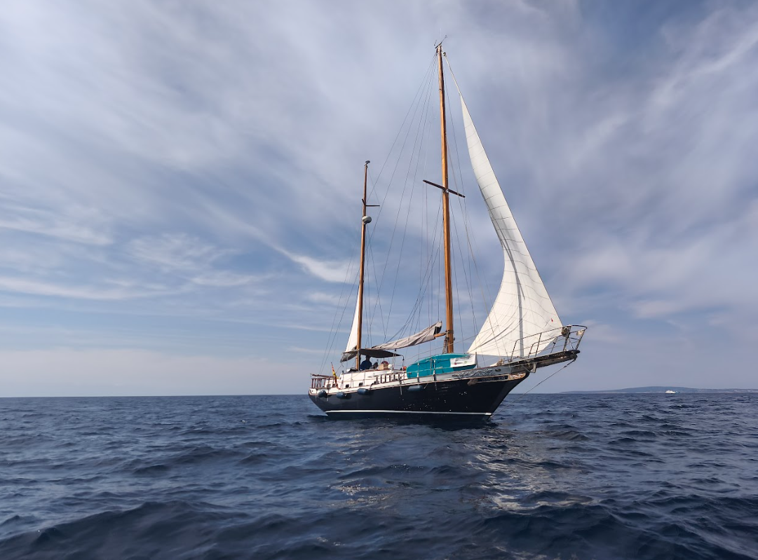 7-Day Digital Detox Sailing Experience from Palma, Mallorca gallery 10