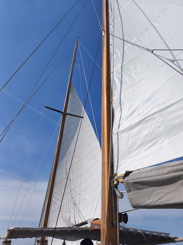 ‘Sailfoodness’ – 6-Hour Sailing Adventure from Palma, Mallorca gallery 8